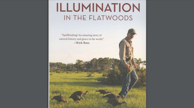 Turkey Hunter's Required Reading: Illumination in the Flatwoods | NRA Family