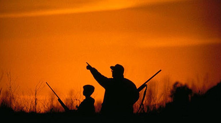 5 Things to Watch Out For in the Dark Woods | NRA Family