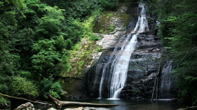 Volunteering To Improve Your Public Lands is Fun and Rewarding | NRA Family