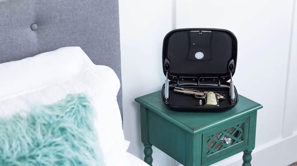 the-gun-safe.jpg