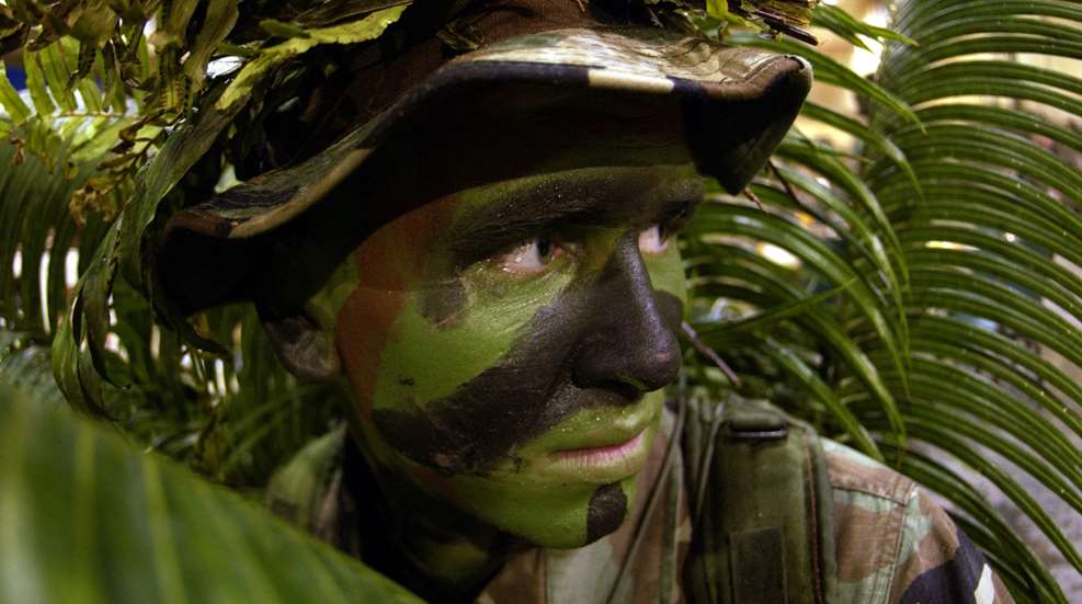 Camo Face Paint Public Domain