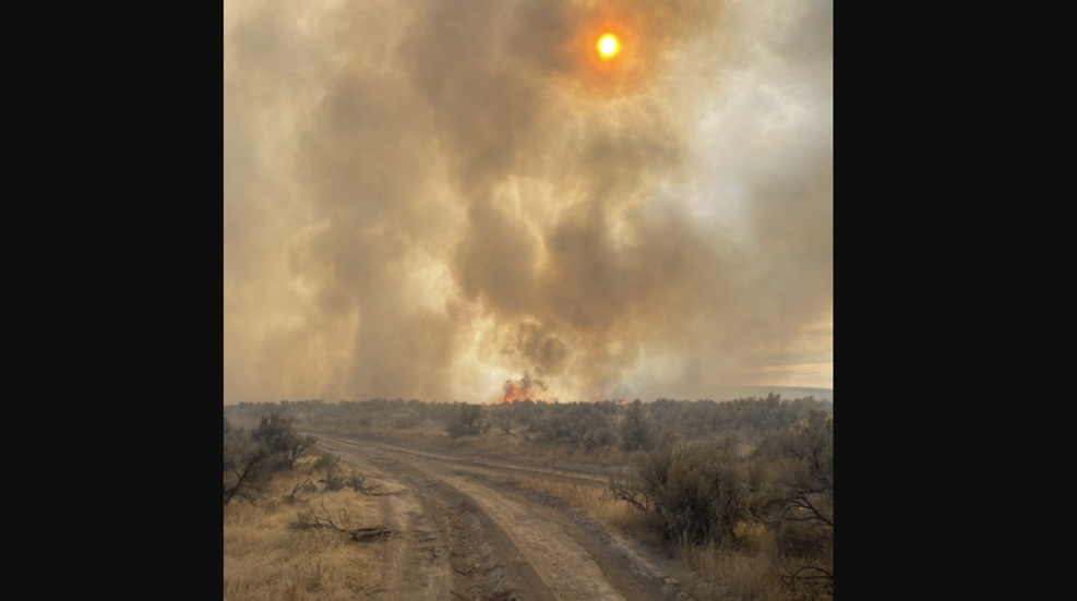 Idaho Wildfires