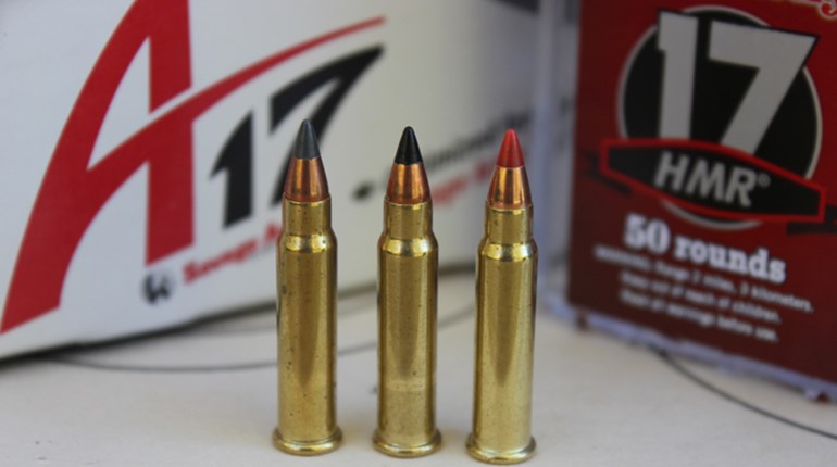 3 Reasons You Need a Rimfire Training Gun | NRA Family