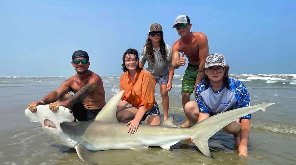 Catch A Dream Hammerhead