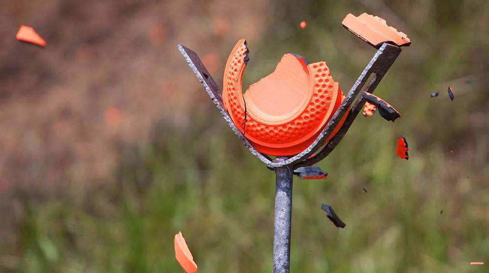 Shooting Sports Diversity