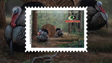 mossy oak turkey stamp
