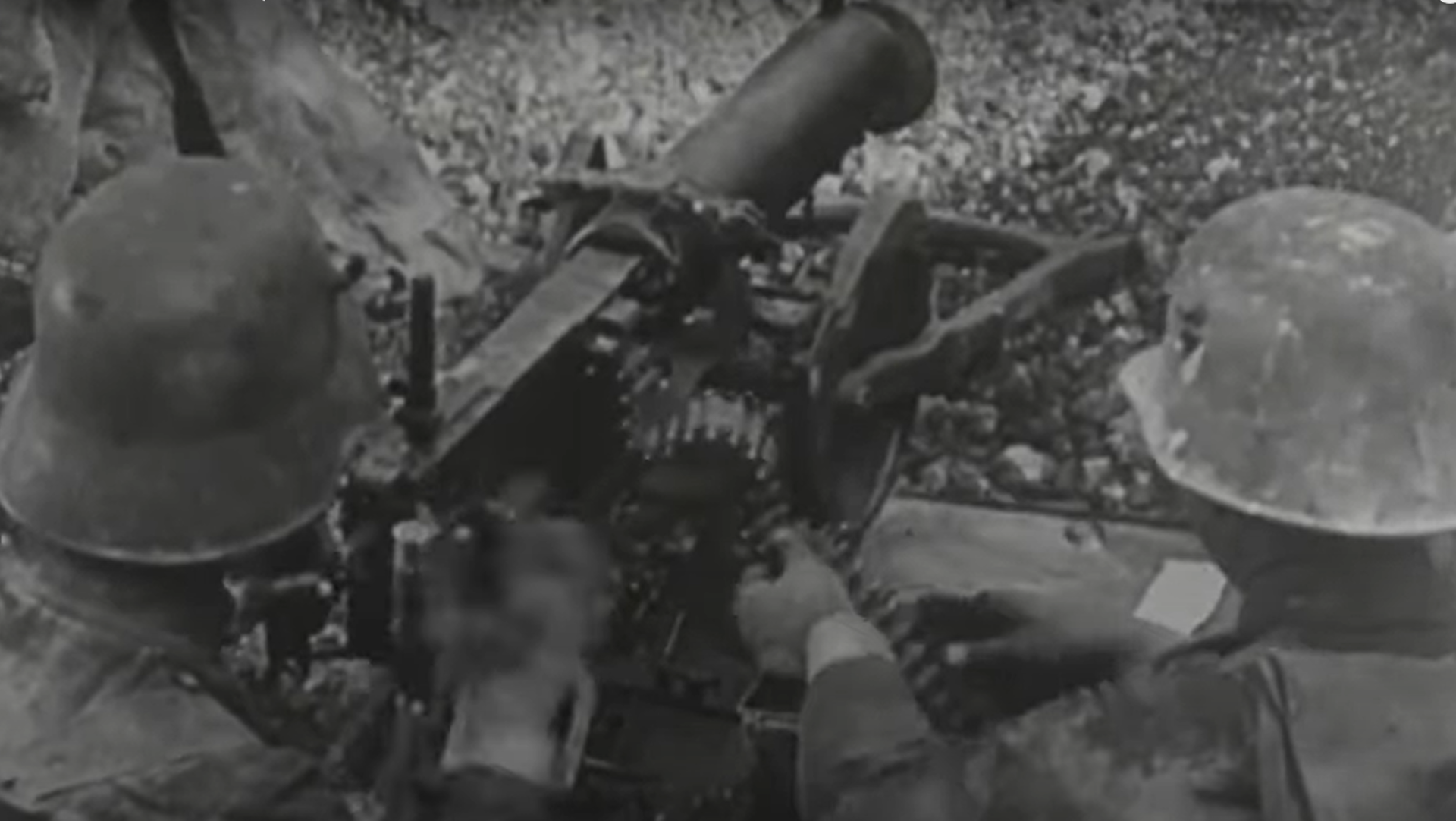 Devils Paintbrush Lede