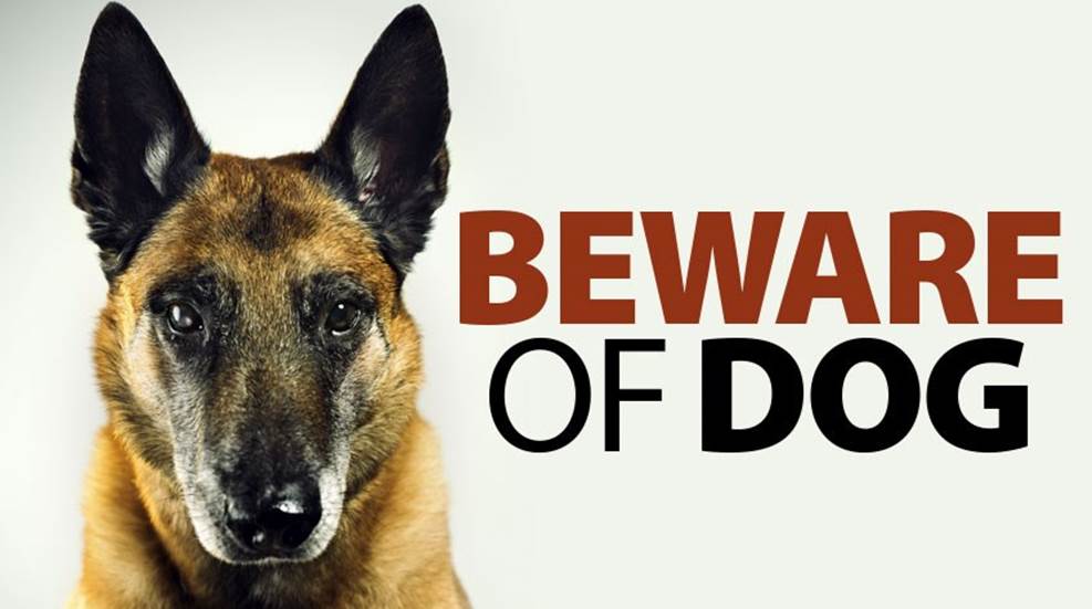 beware-of-dog.jpg
