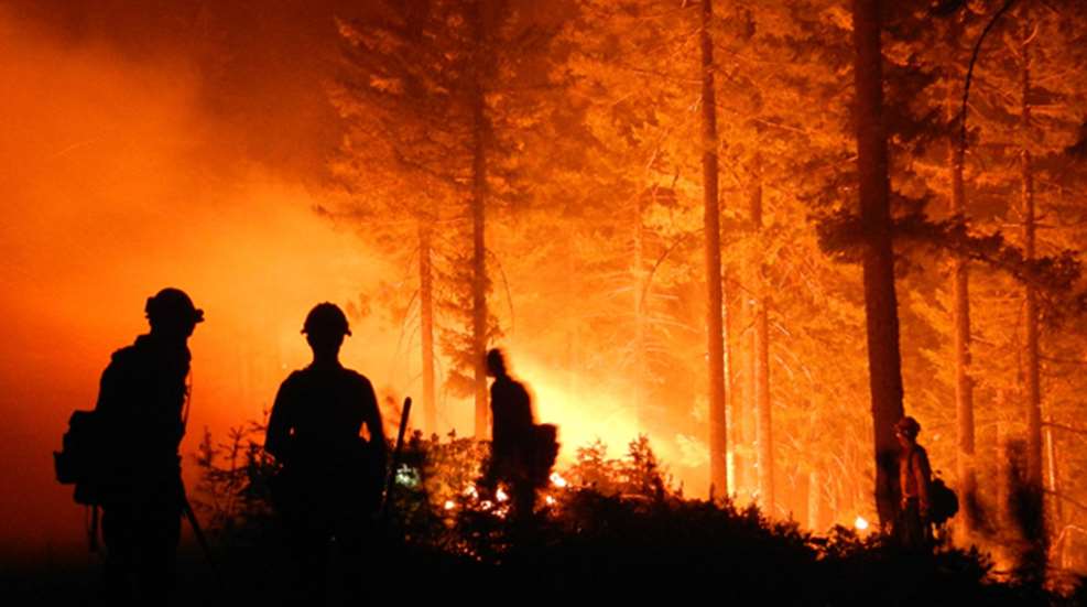 firefighter.jpg