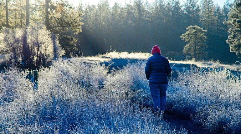 Non-Hunter's Guide to Recreating During Hunting Season | NRA Family