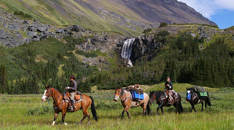 Horseback