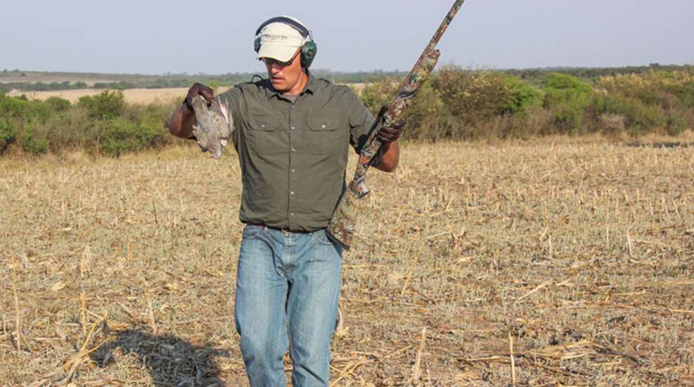 dove-hunting-safety.jpg