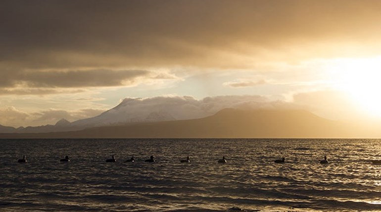 9 Cold-Water Survival Tips You Need to Know | NRA Family