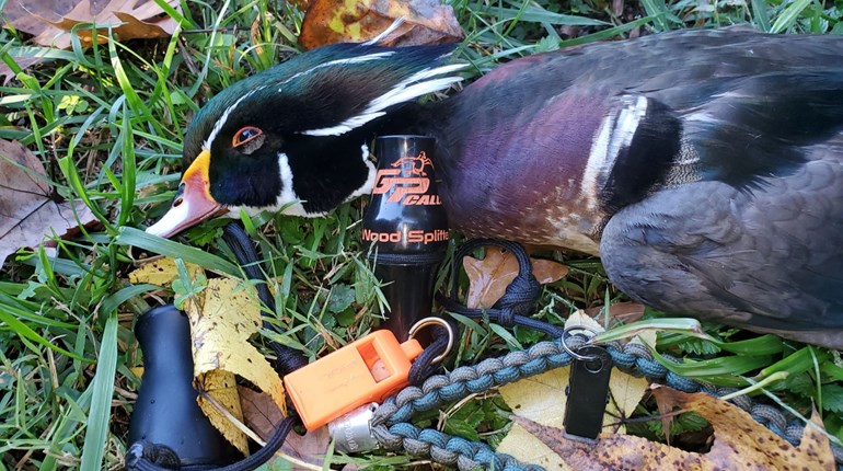 Swamp Dragons! Tips for Taking Early-Season Ducks | NRA Family