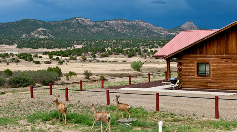 The Great Escape Gallery | NRA Family