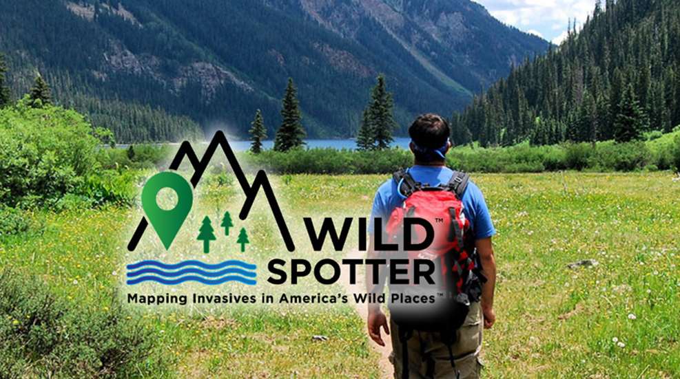 wild-spotter-website.jpg