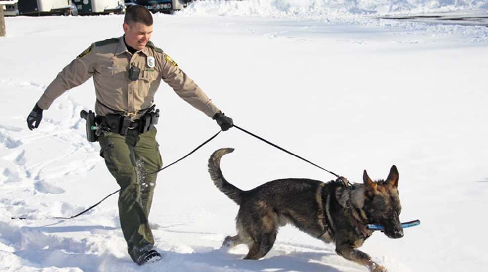 ohio-dnr-k9.jpg