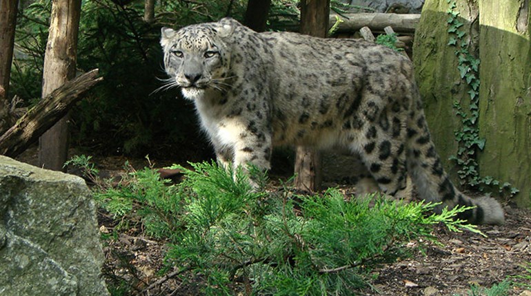 Fun Friday: 7 Awesome Predators (You've Never Heard Of) | NRA Family