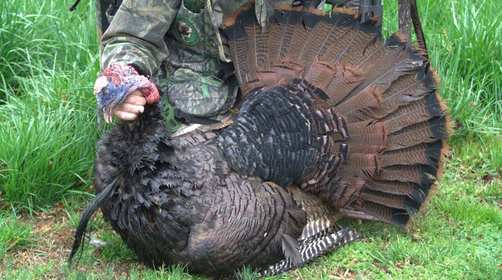 Why You Missed Turkey Lede