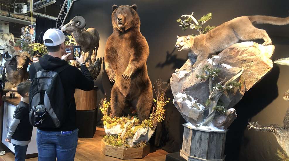 GAOS 2022 Taxidermy