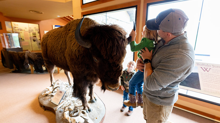 NRA Family Fun: Wolf Program at First Peoples Buffalo Jump State Park | NRA Family