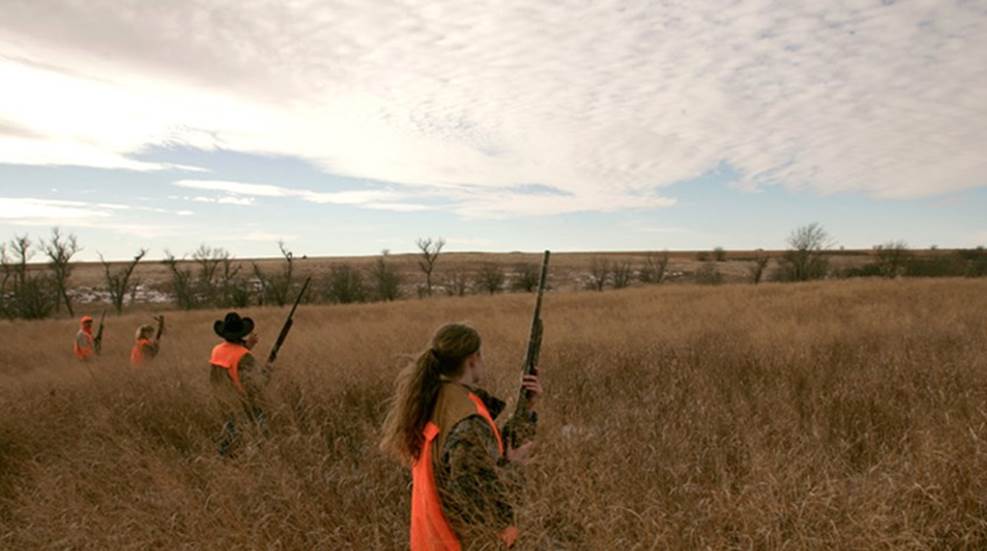 pheasant hunters moving in a line