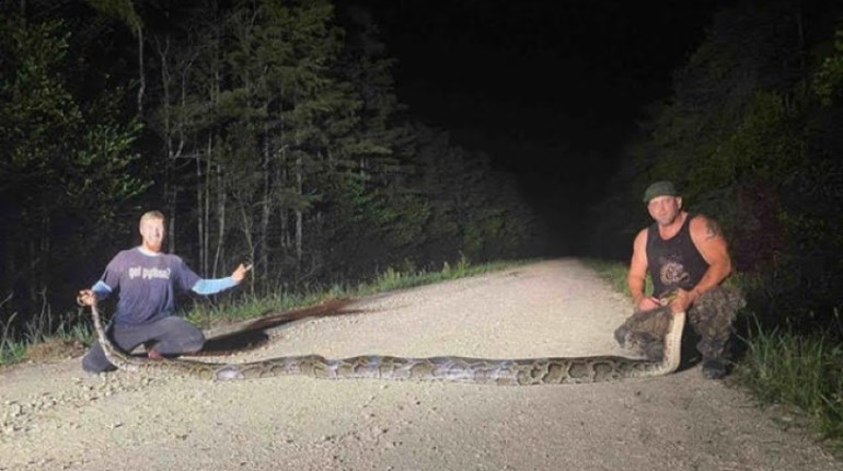 Conservationists Capture 19-Foot Python, Footballs to Follow | NRA Family