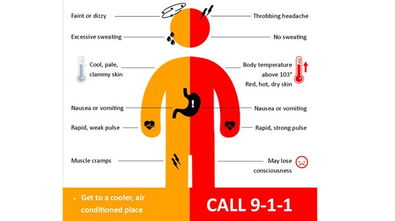 Doctor's Rx to Defeat 6 Summertime Health Hazards | NRA Family