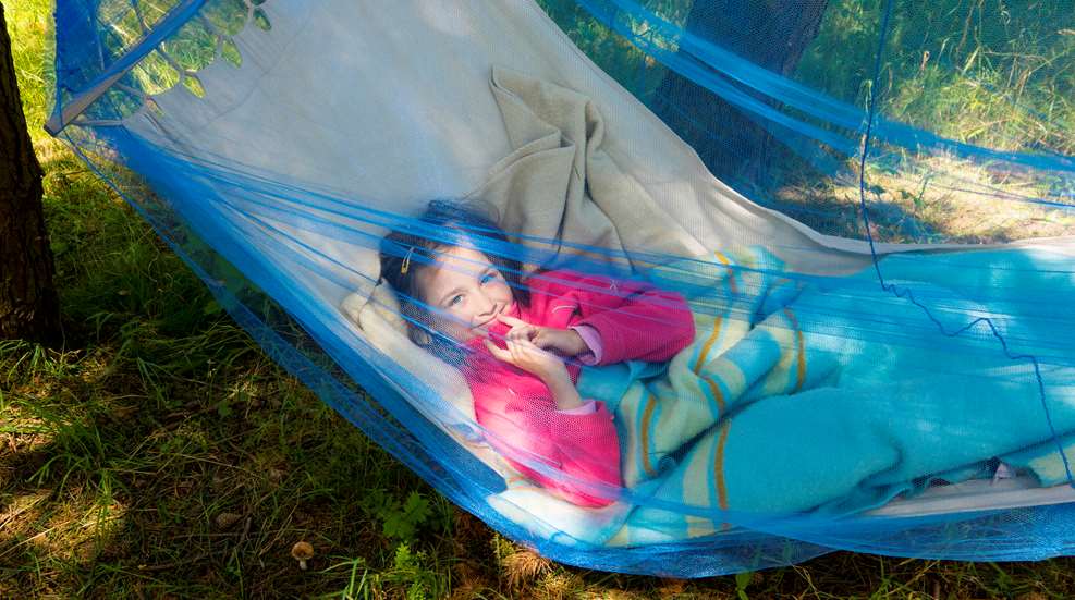 Mosquito Net Over Hammock