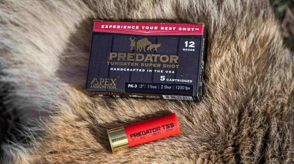 Apex Predator Tss Lede