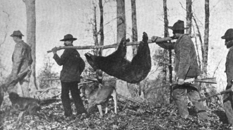 Historical photo of men carrying their bear kill tied to a log