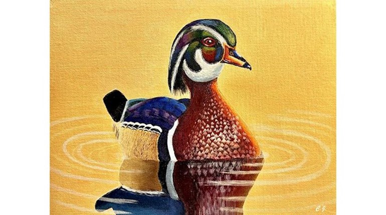 Attention All NRA Families: NRA Youth Wildlife Art Contest Starts Now! | NRA Family