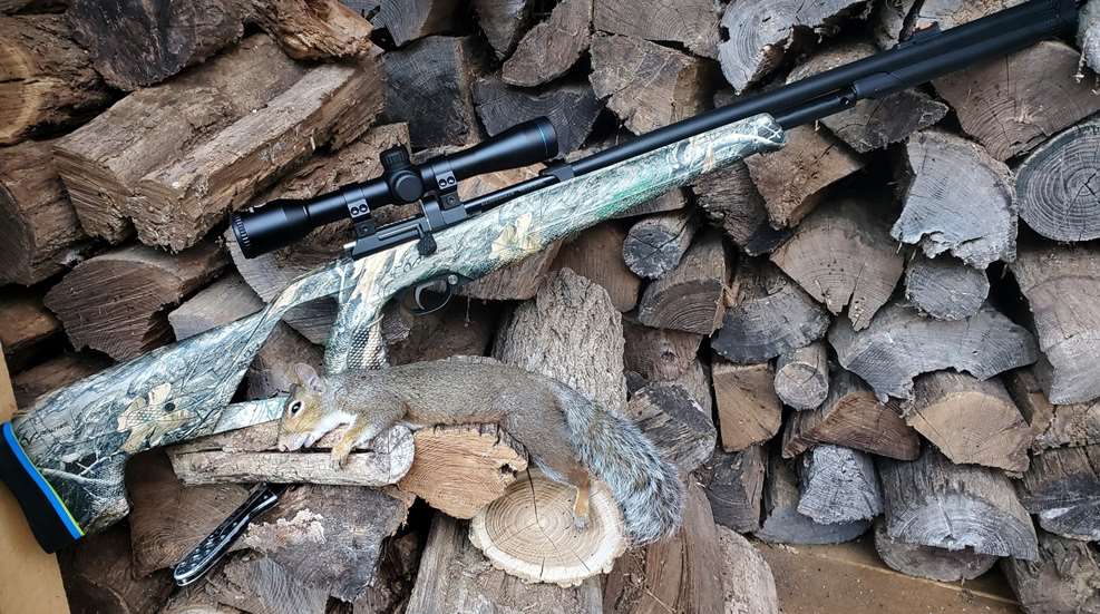 Reviewed: Stoeger XM1 .22 PCP Air Rifle