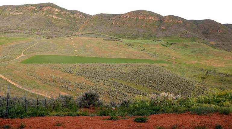 Long-Range Shooting for Beginners: 6 Things I Learned | NRA Family