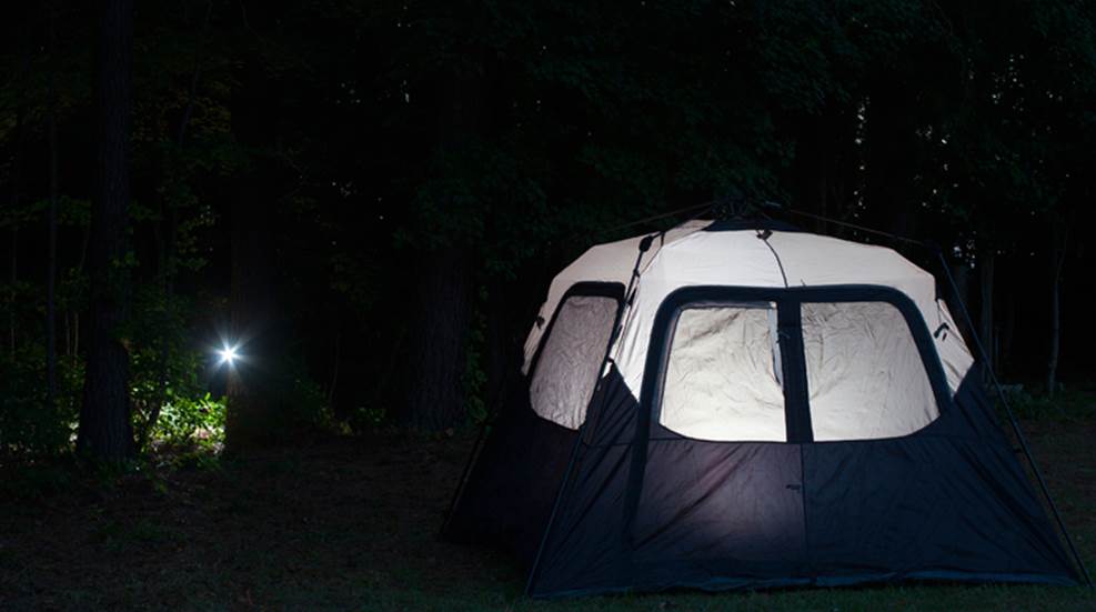 shelter-in-place.jpg