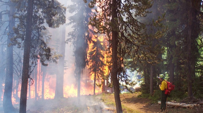 Outdoor Careers: Wildland Firefighter | NRA Family