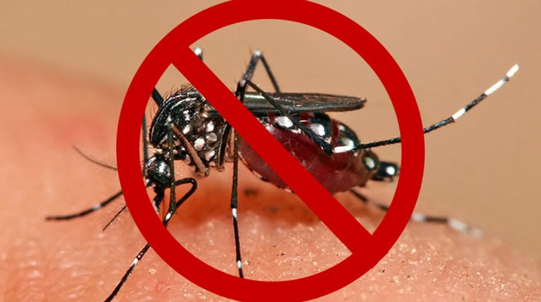 Advanced Mosquito Repellents | NRA Family