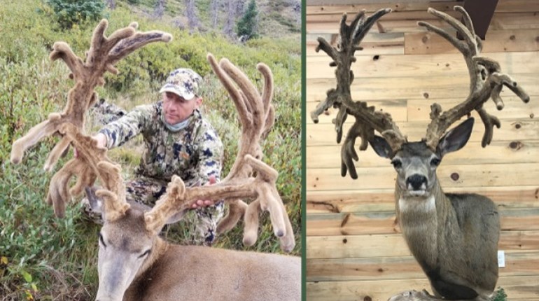 Wow! Is This the Next World Record Velvet Mule Deer? | NRA Family