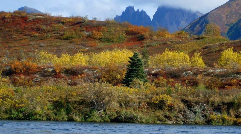 NRA Appeals District Court’s Erroneous National Wildlife Refuge Decision | NRA Family