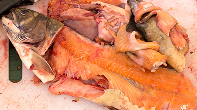 10 Tips For Cooking Wild Game | NRA Family