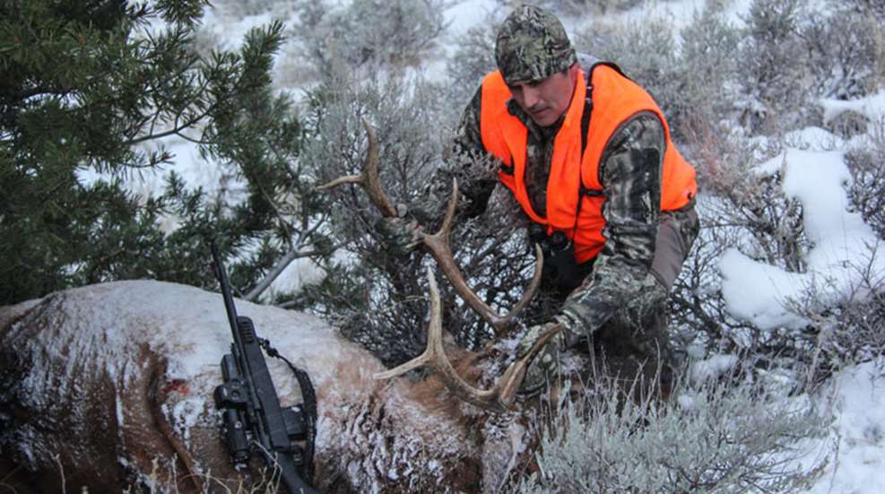 4-reasons-to-hunt.jpg