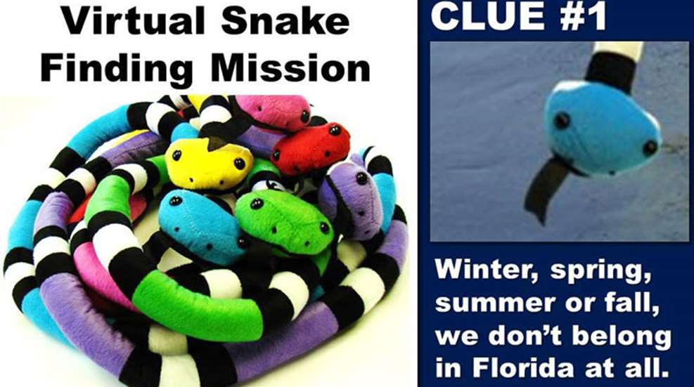 toy-snakes.jpg