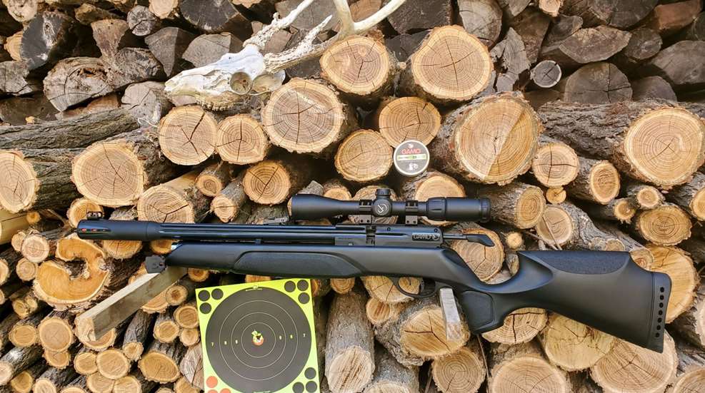 Gamo Arrow Review Lede