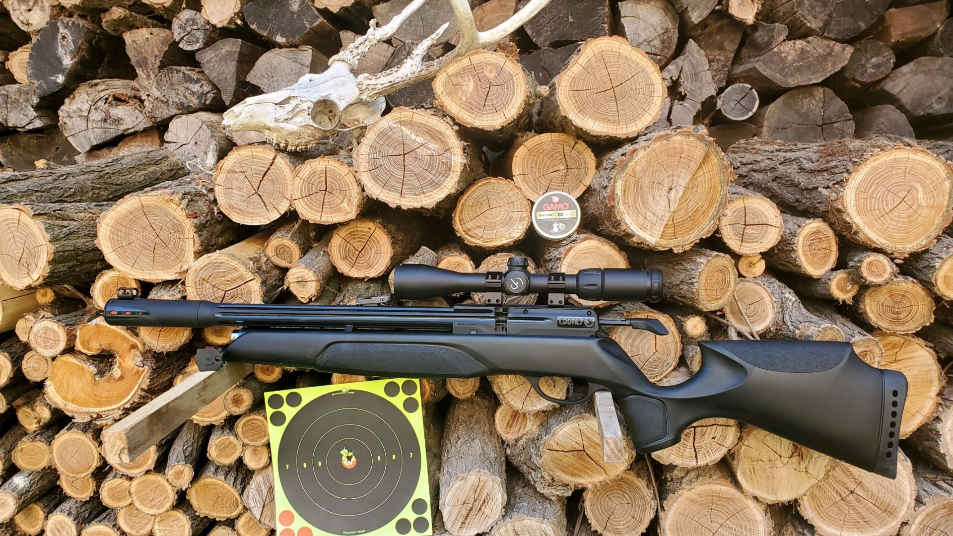 Reviewed GAMO Arrow Air Rifle NRA Family