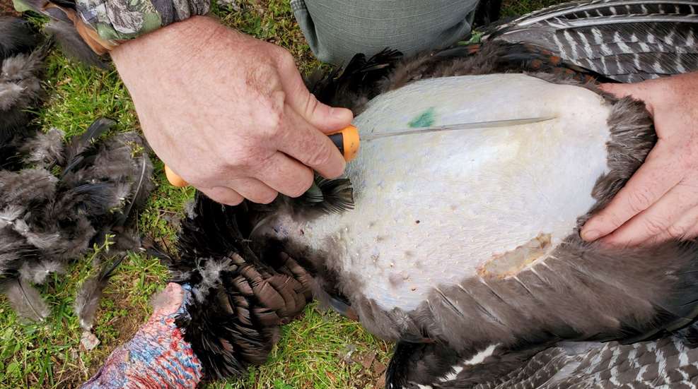 Fike Turkey Breast