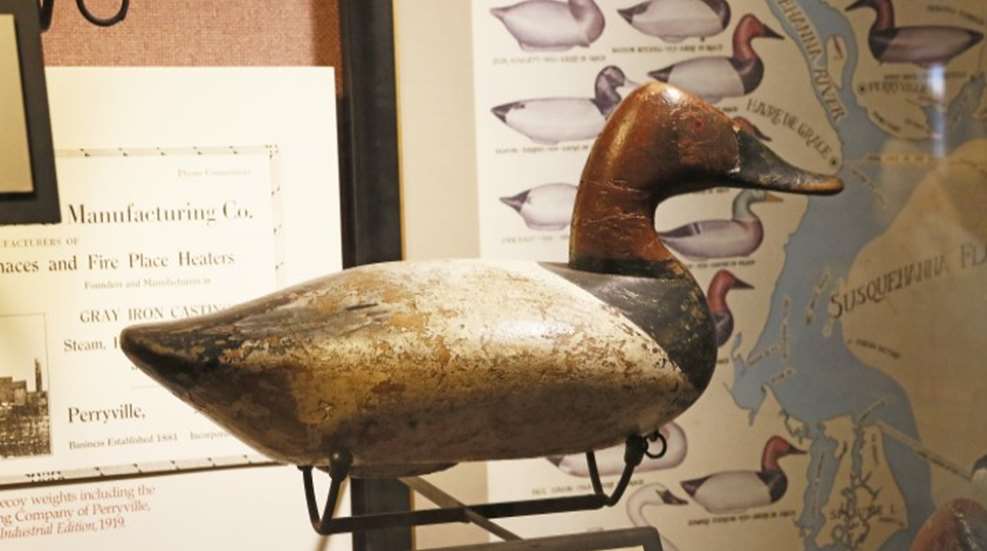 vintage duck decoy on display in museum