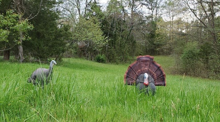 Turkey Tactics: How to "Run & Gun" Safely | NRA Family