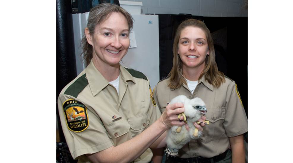cool-jobs-wildlife-biologist.jpg
