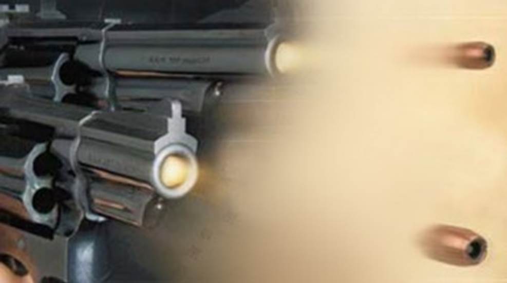 si-snubby_ballistics.jpg