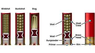 Shotgun Basics: 3 Types of Shotshells (& Why It Matters) | NRA Family